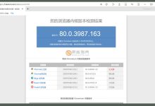 twinkstar(星愿浏览器)v8.5.1000.2210 便携版 - 服务器网