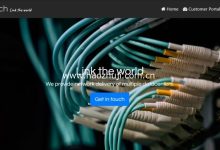 SaltyfishTech最新优惠 香港CMI VPS月付8美元起 - 服务器网