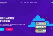 DogYun狗云,全场VPS低至7折/双11特惠,香港/美国/日本/韩国数据中心,物理服务器立减100元/幸运大转盘抽5折码 - 服务器网