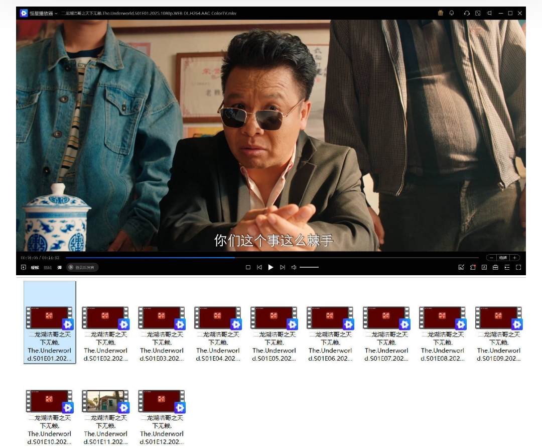 二龙湖浩哥之天下无赖 全24集 4K-2160P