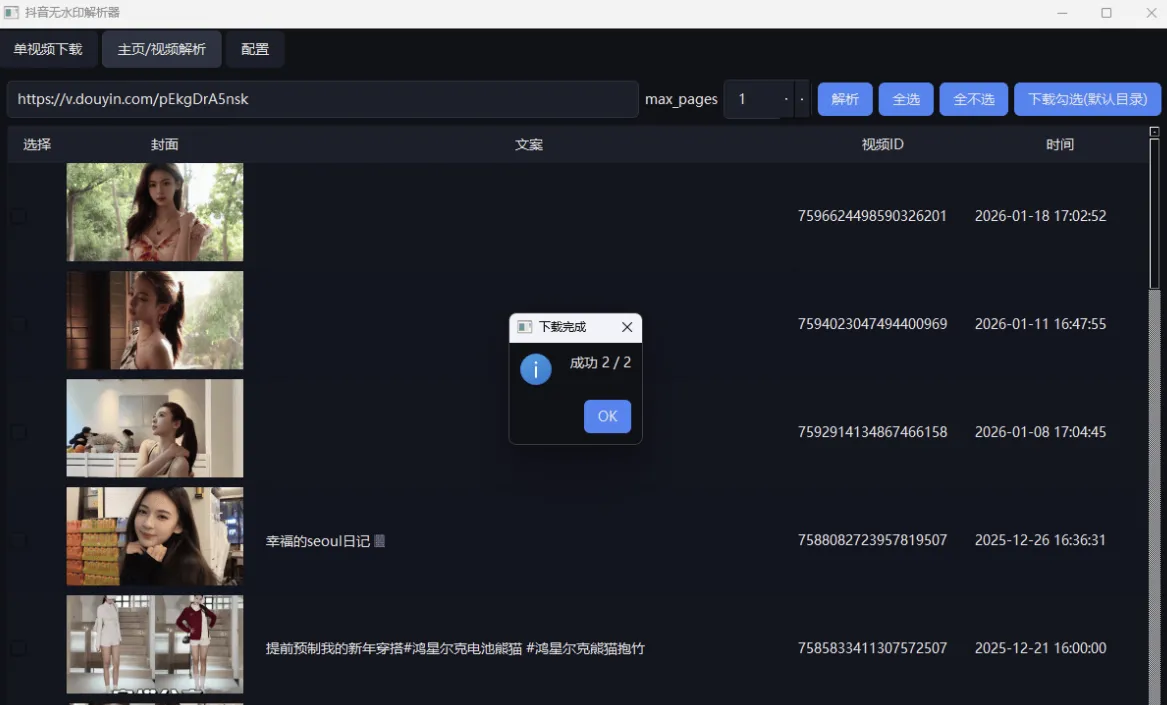 抖音无水印视频下载工具
