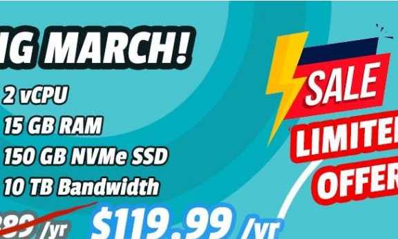 Hostigger土耳其VPS：15G内存/150GB SSD/10TB月流量/1Gbps/119.99美元/年