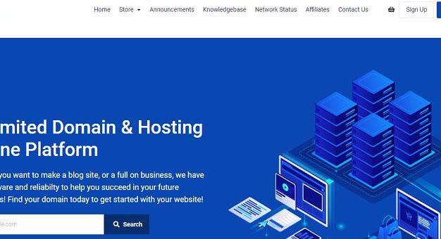 RefinedHost美国弗吉尼亚州阿什本10G端口NVMe KVM VPS：4.99美元/月起