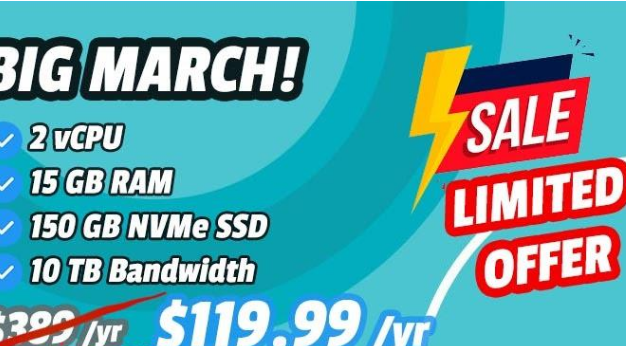 Hostigger土耳其VPS：15G内存/150GB SSD/10TB月流量/1Gbps/119.99美元/年