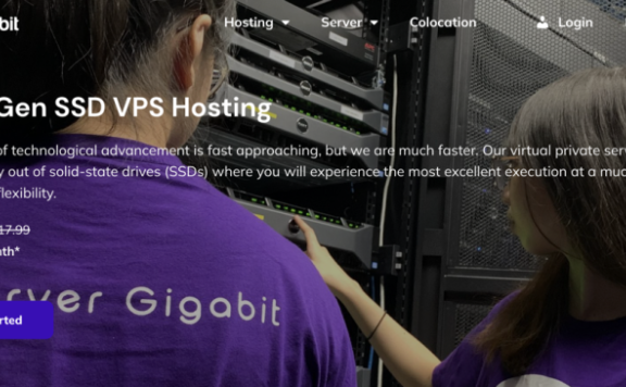 Server Gigabit马来西亚vps,100M共享带宽低价VPS