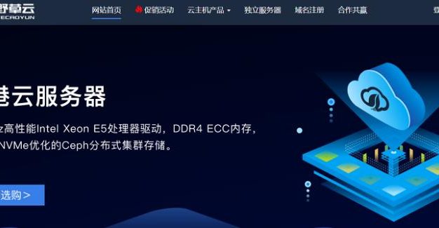 野草云：香港BGP大带宽/香港CTGNet+BGP宽带/香港华为云混合宽带服务器，199元/月起