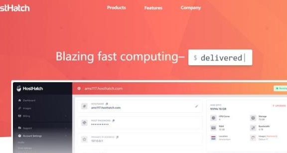 hosthatch香港/日本/新加坡/美国/荷兰大硬盘VPS：1TB硬盘35美元/年，送双倍内存+硬盘+流量
