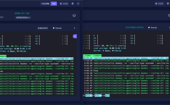 牧云collie:一款简单轻量的主机远程管理软件,限时送海外云主机