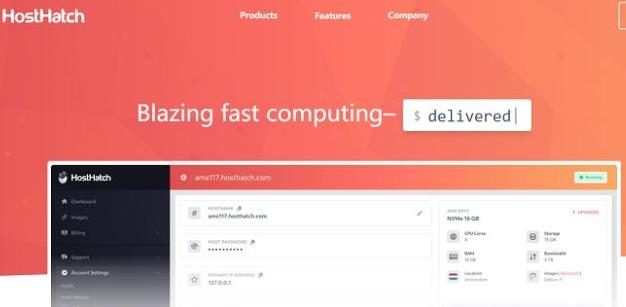 hosthatch香港/日本/新加坡/美国/荷兰大硬盘VPS：1TB硬盘35美元/年，送双倍内存+硬盘+流量