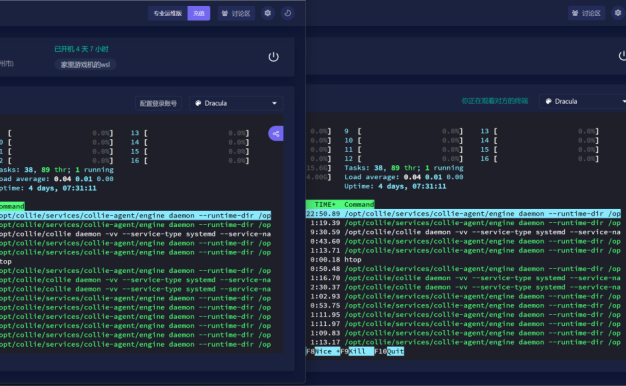 牧云collie：一款简单轻量的主机远程管理软件，限时送海外云主机