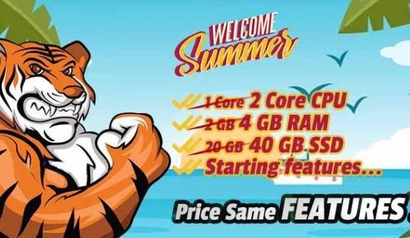 Hostiger赠送10美元，土耳其无限流量VPS 49.88美元/年