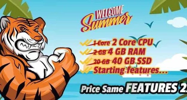 Hostiger赠送10美元，土耳其无限流量VPS 49.88美元/年