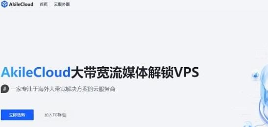 AkileCloud日本VPS：1核512M/5GB SSD/无限流量/100Mbps/23.88元/月