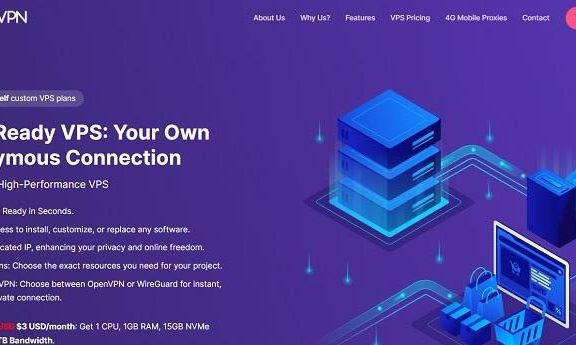 VPSforVPN美国/荷兰/罗马尼亚VPS：9.5美元/年，送512M内存或15GB SSD硬盘或2TB流量