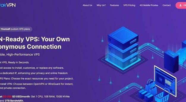 VPSforVPN美国/荷兰/罗马尼亚VPS：9.5美元/年，送512M内存或15GB SSD硬盘或2TB流量
