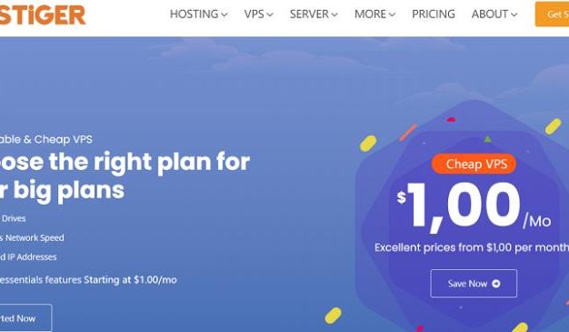 Hostiger美国/土耳其VPS：1核1G/30GB SSD/无限流量/1Gbps带宽/1个IPv4/5.99美元/首月