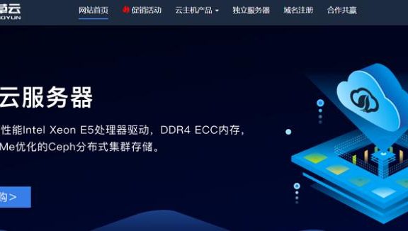 野草云12周年活动促销：香港AMD轻量VPS/香港物理服务器/AWS Lightsail，81元/年