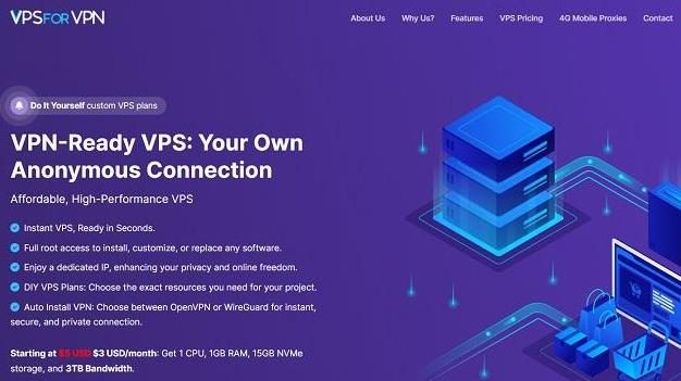 VPSforVPN：1G内存3TB月流量VPS特价10.05美元/年，美国/荷兰/罗马尼亚机房可选