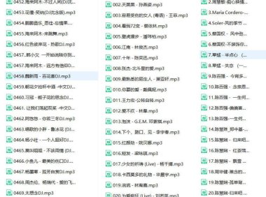 [车载高音质]经典粤语 抖友DJ 个人成名曲 560首